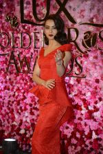 Surveen Chawla at Lux Golden Rose Awards 2016 on 12th Nov 2016